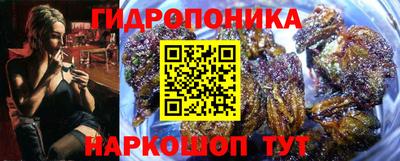 a pvp Лесосибирск