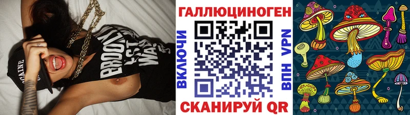 как найти наркотики  Вязники  Псилоцибиновые грибы Magic Shrooms 